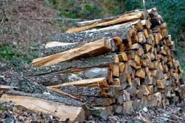 Bando di pubblico incanto per legna da ardere