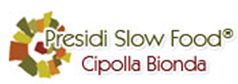 Cipolla bionda di Cureggio e Fontaneto